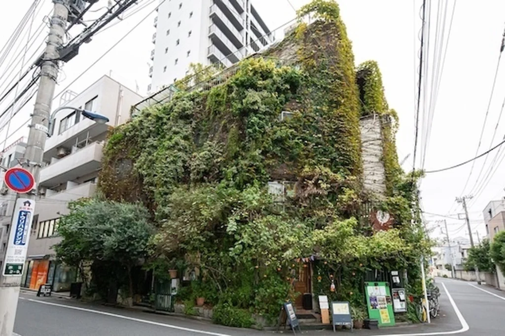 『Tシャツが乾くまで』のロケ地になった飲食店3軒はどこ？赤羽の「喫茶ひこうき」も